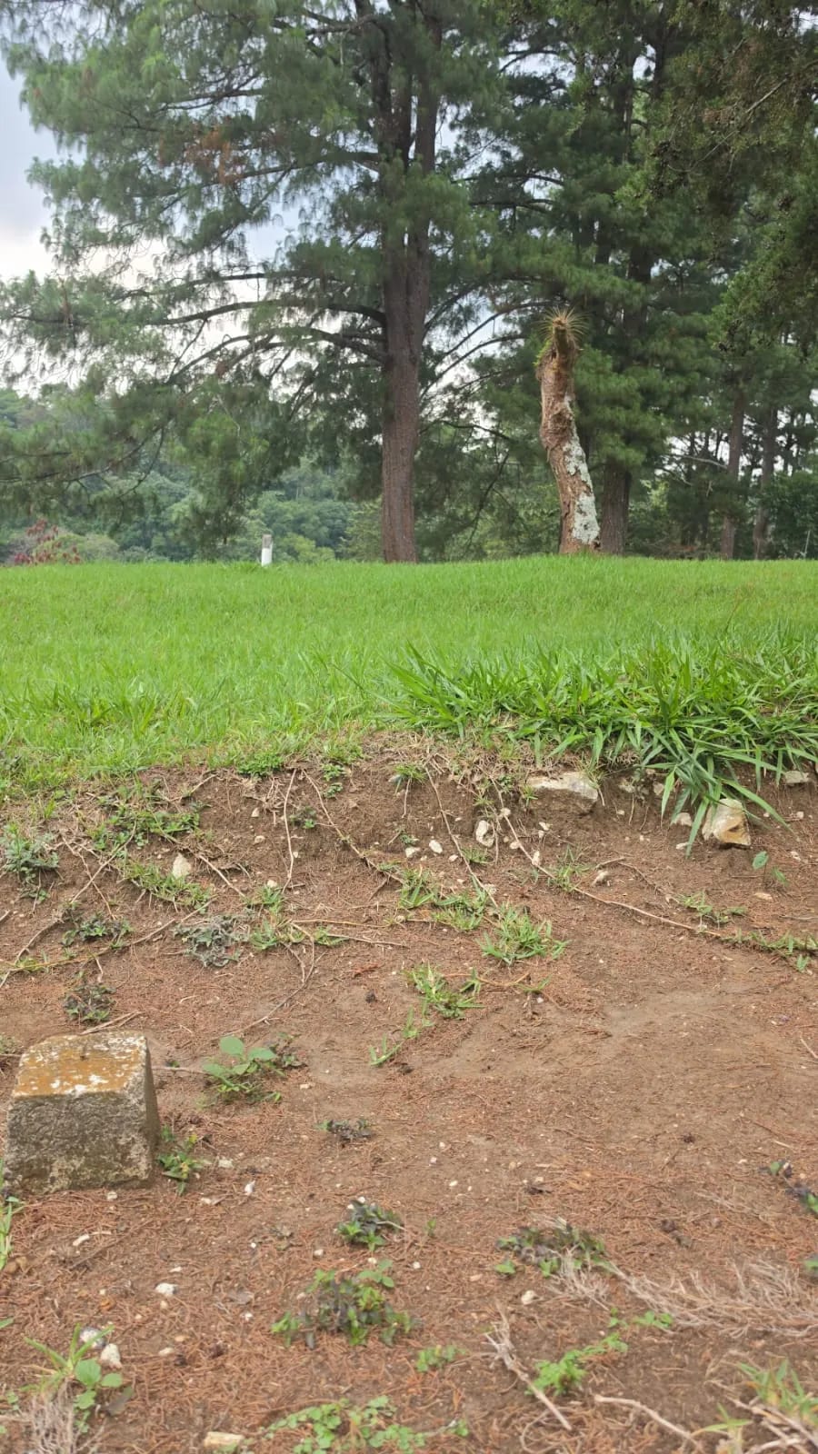 Vendo Terreno en Condominio Bosques de Vilaverde KM. 26 CAES — Terreno en Venta en Carretera a El Salvador, Guatemala, Ciudad — foto 3 de 5