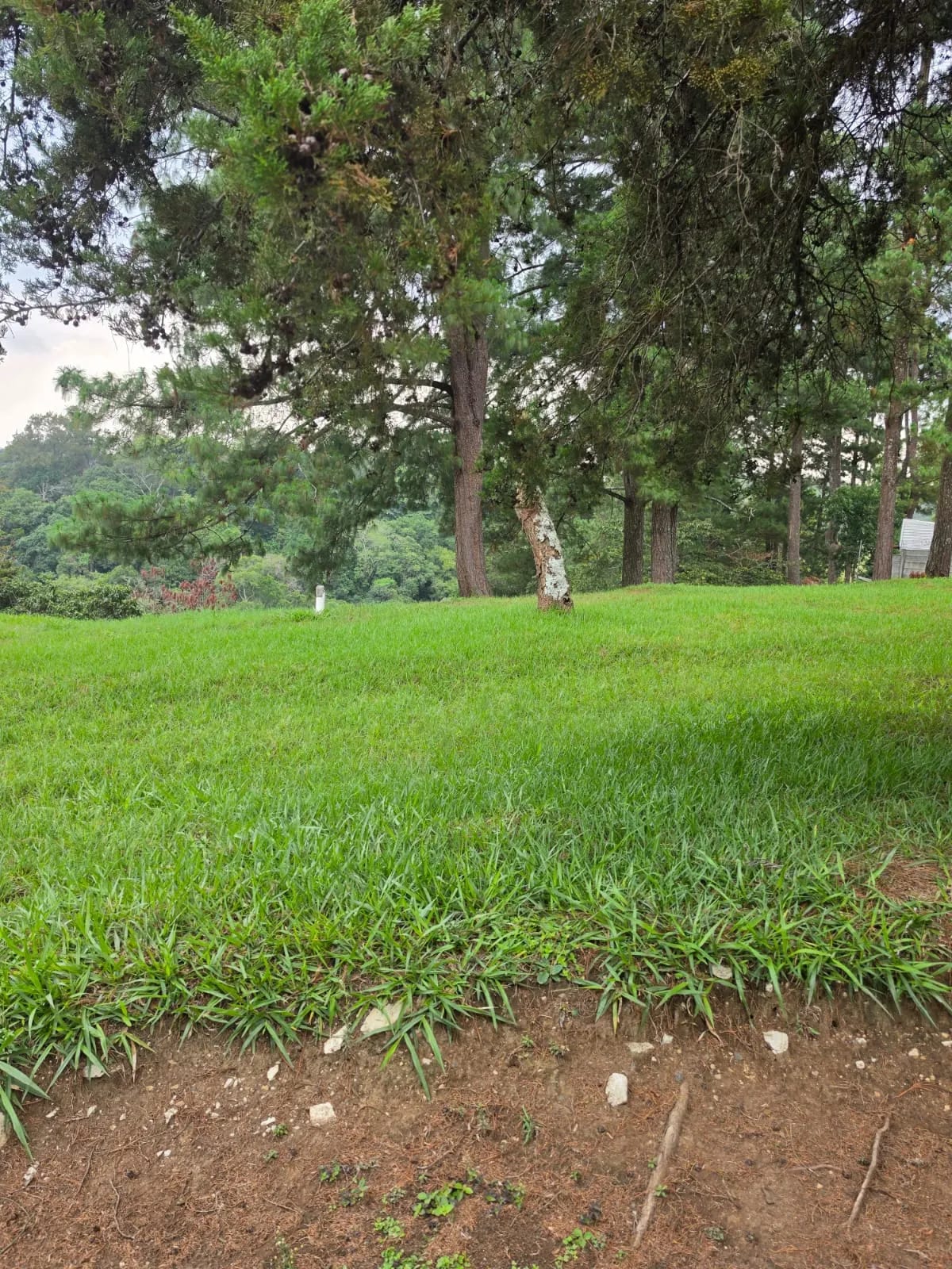 Vendo Terreno en Condominio Bosques de Vilaverde KM. 26 CAES — Terreno en Venta en Carretera a El Salvador, Guatemala, Ciudad — foto 5 de 5