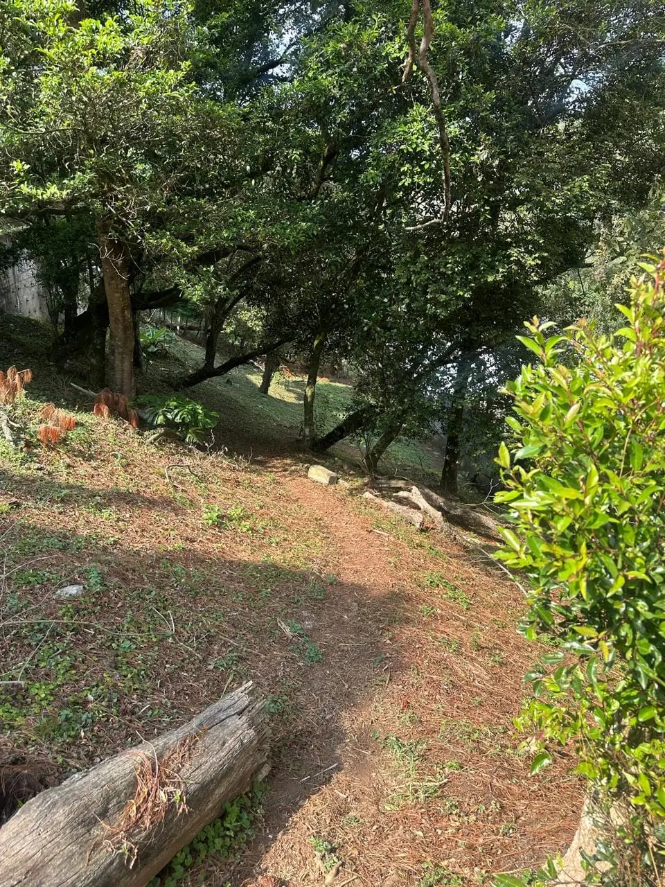 Vendo Terreno en Cond. Terravista Coventry KM. 16.5 CAES — Terreno en Venta en Carretera a El Salvador, Guatemala, Ciudad — foto 4 de 12