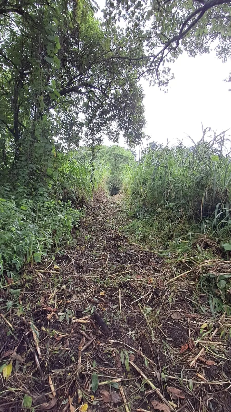 Vendo Terrenos en Casa y Campo KM 23.5 Carretera a el Salvador — Terreno en Venta en Carretera al Atlántico, Guatemala, Ciudad — foto 6 de 7