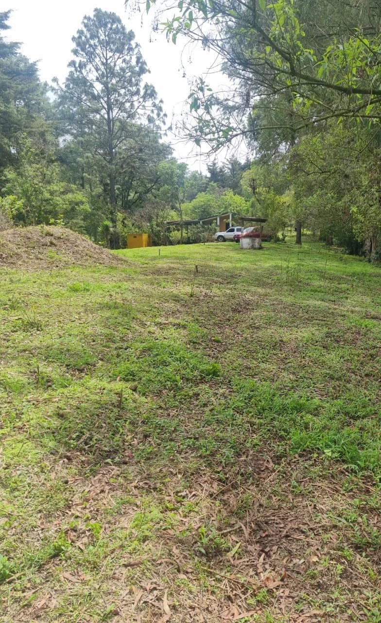 Vendo Finca en Aldea las Flores Sumpango Sacatepequez — Finca en Venta en Sumpango, Sacatepéquez — foto 5 de 14