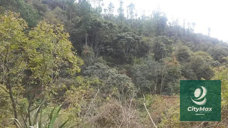 En Venta 70 Manzanas Terreno Boscoso San Pedro Ayampuc — Finca en Venta en San Pedro Ayampuc, Guatemala, Ciudad — foto 5 de 16