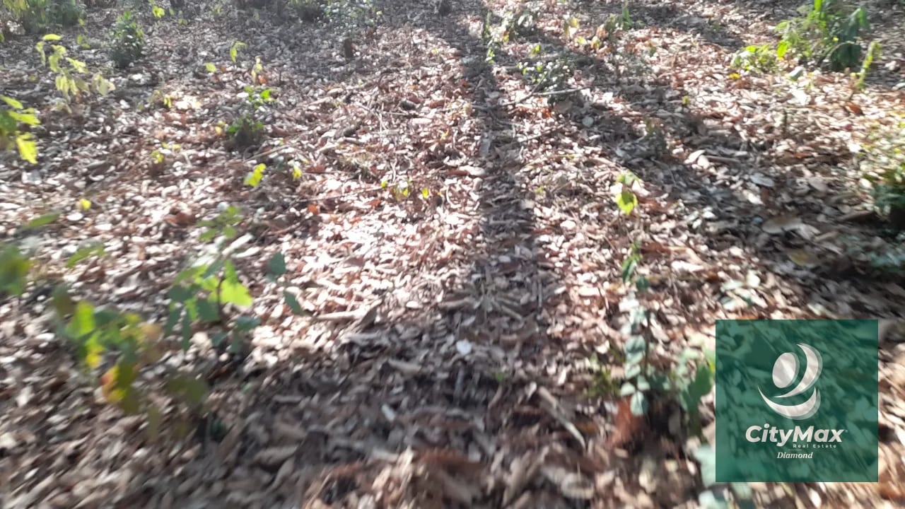 Terreno de esquina en Venta en El Encinal Zona 7 Mixco — Terreno en Venta en Zona 7 Mixco, Guatemala, Ciudad — foto 6 de 15