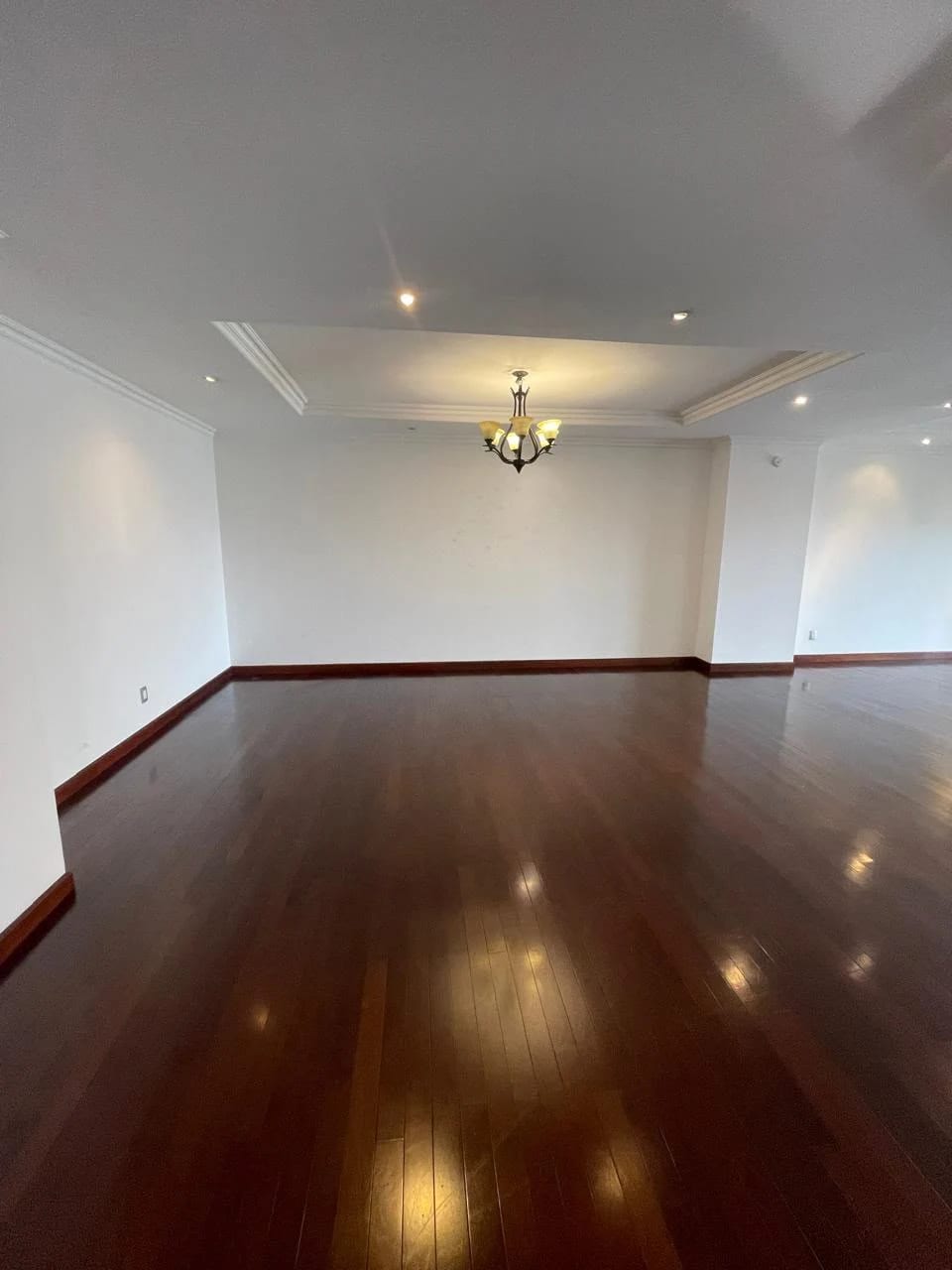 Espectacular apartamento de 295 mts. en zona 14 TADEUS!! — Apartamento en Alquiler en Zona 14, Guatemala, Ciudad — foto 8 de 16
