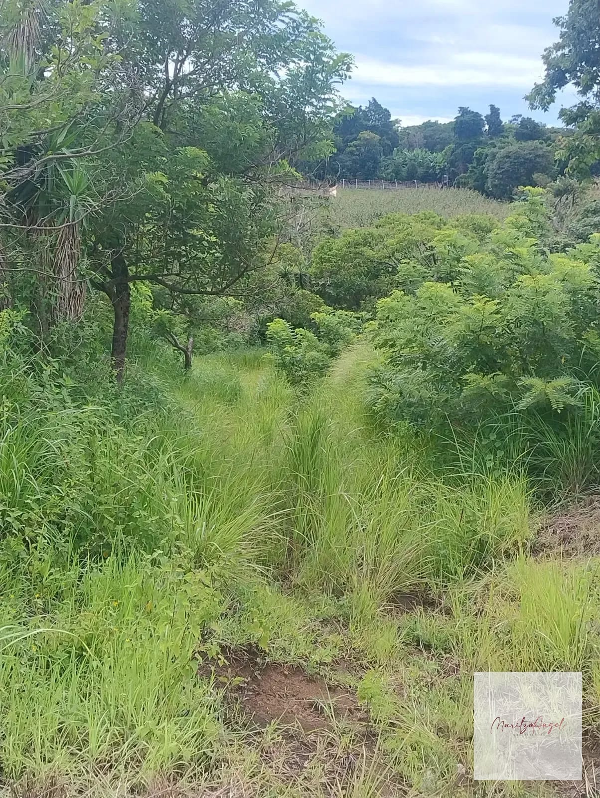 Terreno en Venta Santa Elena Barillas — Terreno en Venta en Santa Elena Barillas, Guatemala, Ciudad — foto 4 de 7
