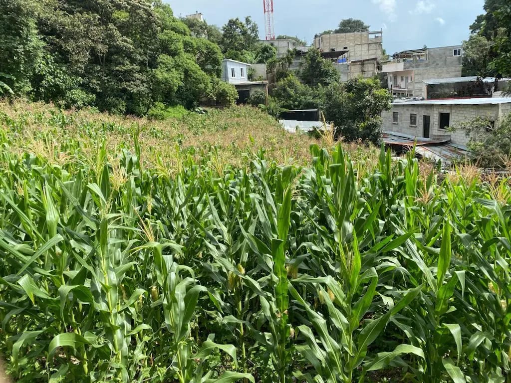Terreno en Santa Catarina Pinula — Terreno en Alquiler en Santa Catarina Pinula, Guatemala, Ciudad — foto 5 de 6