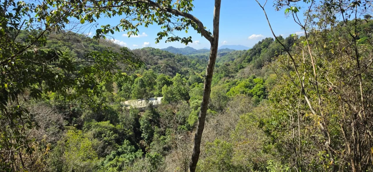 Granja en ingreso a Olmeca, Fraijanes — Casa en Venta en Carretera a El Salvador, Guatemala, Ciudad — foto 8 de 10