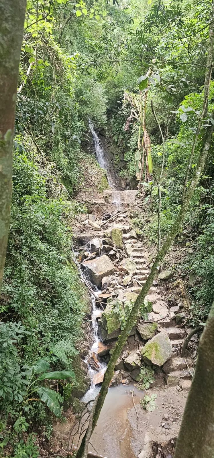 Granja en ingreso a Olmeca, Fraijanes — Casa en Venta en Carretera a El Salvador, Guatemala, Ciudad — foto 7 de 10