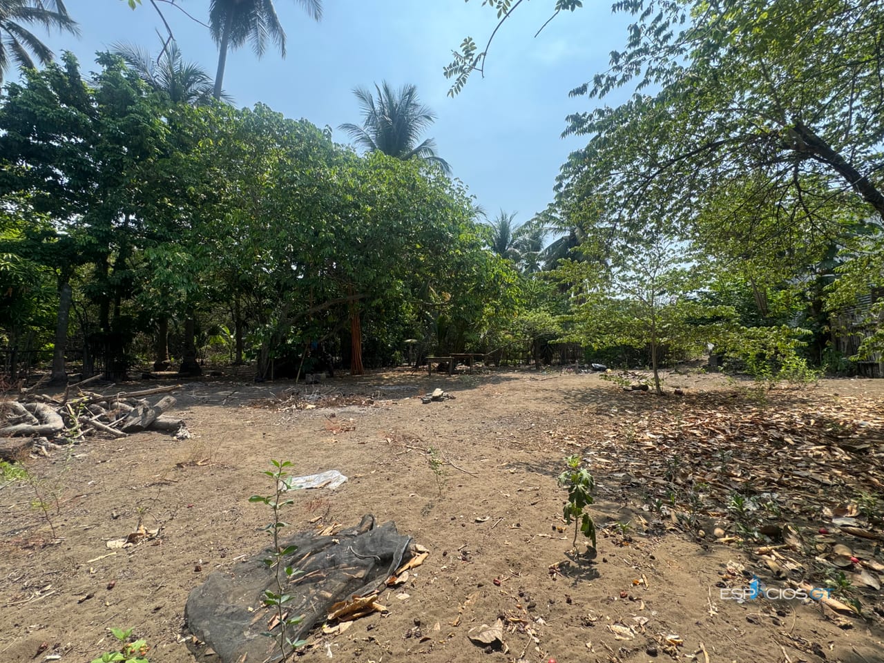 Terreno en el Paredón 3 Cuadras Playa — Terreno en Venta en Sipacate, Escuintla — foto 5 de 8