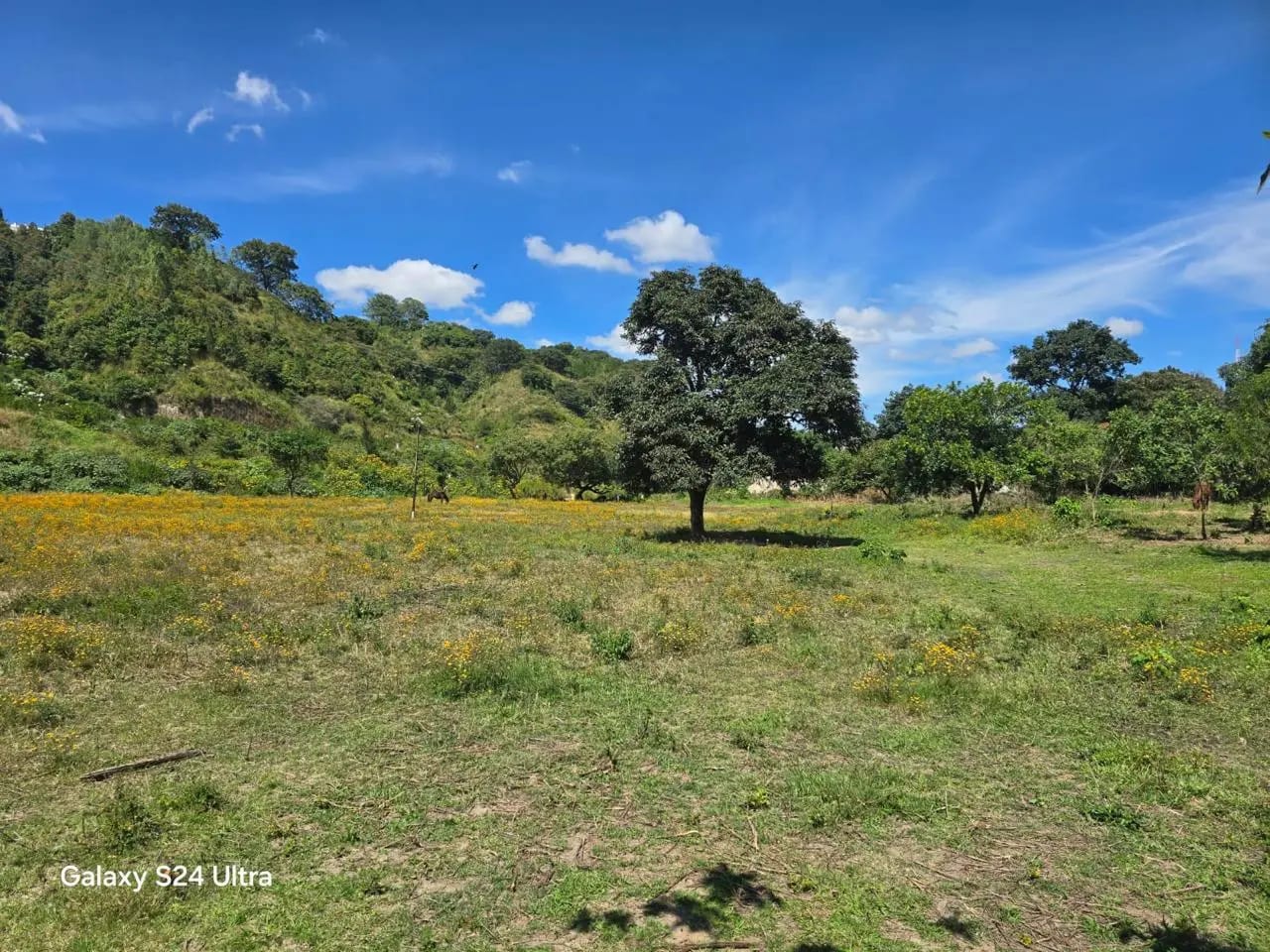 Terreno en Boca del Monte, cercano a la VAS — Terreno en Venta en Boca del Monte, Guatemala, Ciudad — foto 3 de 8