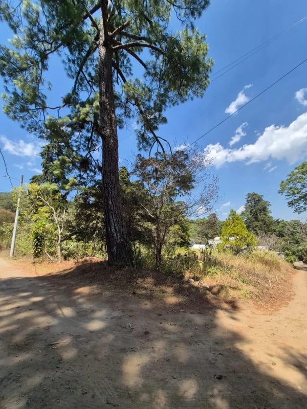 Terreno de Esquina el Encinal, Zona 7 Mixco — Terreno en Venta en El Encinal, Zona 7 Mixco, Guatemala, Ciudad — foto 1 de 4