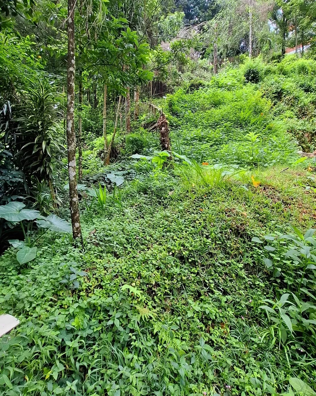 Terreno en Venta en la Montaña, Zona 16 — Terreno en Venta en La Montaña, Zona 16, Guatemala, Ciudad — foto 8 de 11