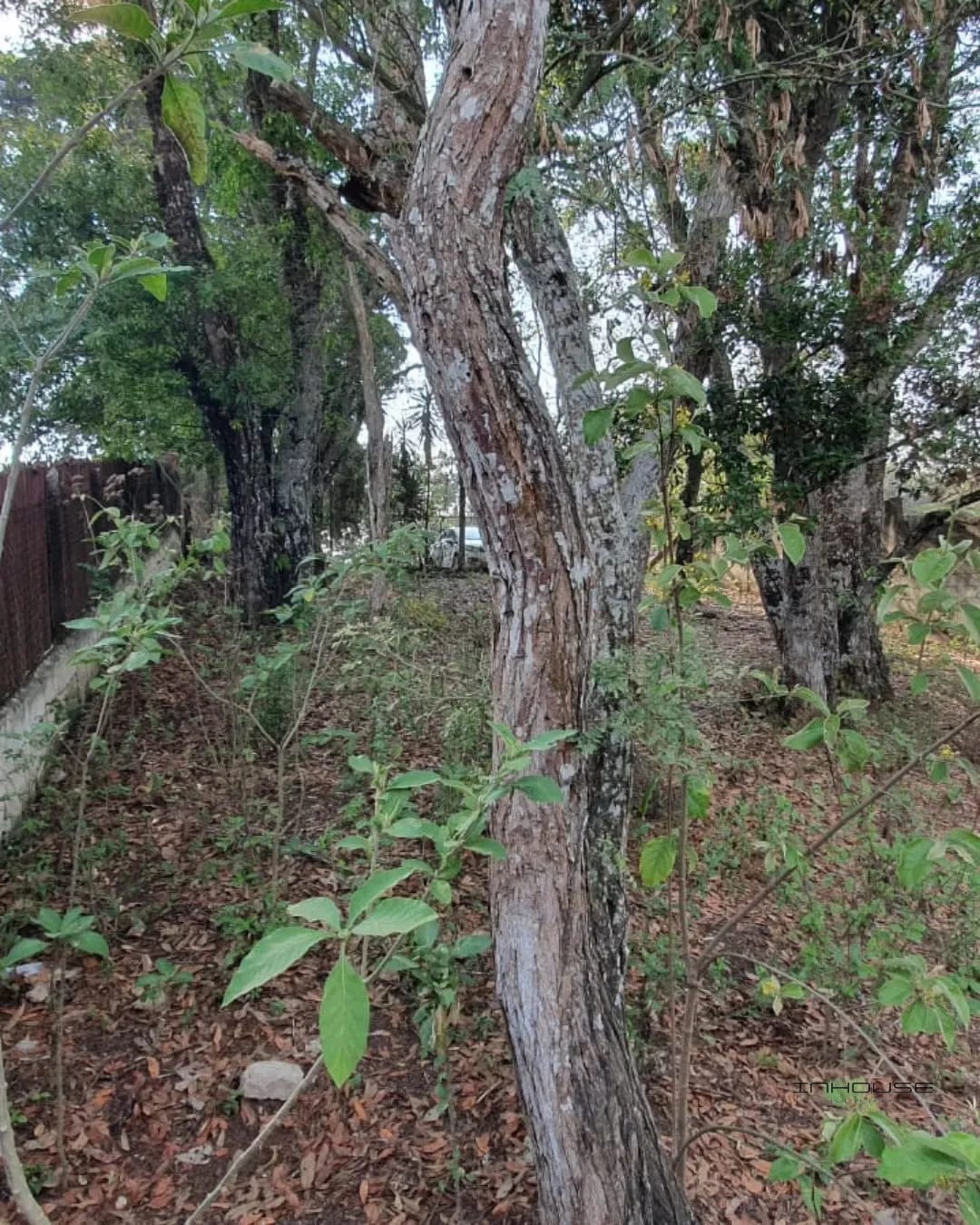 Terreno en Venta Zona 16, Plano — Terreno en Venta en San Gaspar, Zona 16, Guatemala, Ciudad — foto 2 de 7