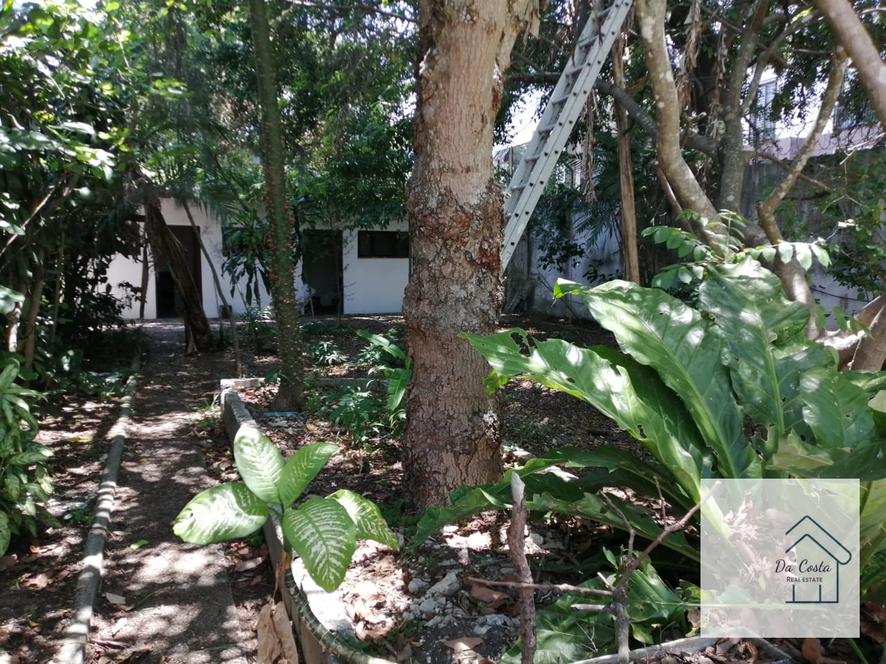 Casa en venta Zona 14 la Villa — Casa en Venta en La Villa, Zona 14, Guatemala, Ciudad — foto 4 de 17