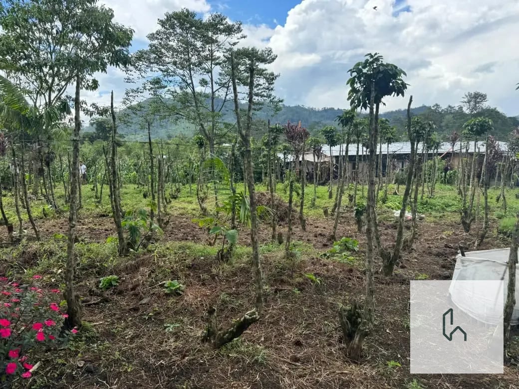 Venta de Hermoso Terreno Plano en Santa Cruz Verapaz — Terreno en Venta en Santa Cruz Verapaz, Alta Verapaz — foto 5 de 11