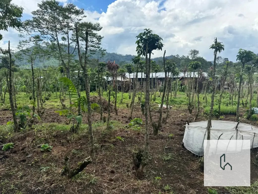 Venta de Hermoso Terreno Plano en Santa Cruz Verapaz — Terreno en Venta en Santa Cruz Verapaz, Alta Verapaz — foto 6 de 11