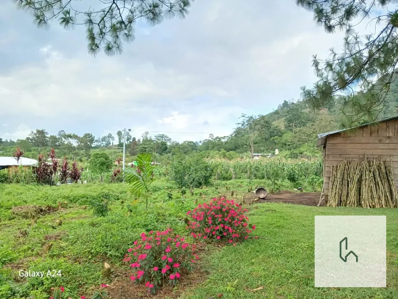 Venta de Hermoso Terreno Plano en Santa Cruz Verapaz — Terreno en Venta en Santa Cruz Verapaz, Alta Verapaz — foto 10 de 11