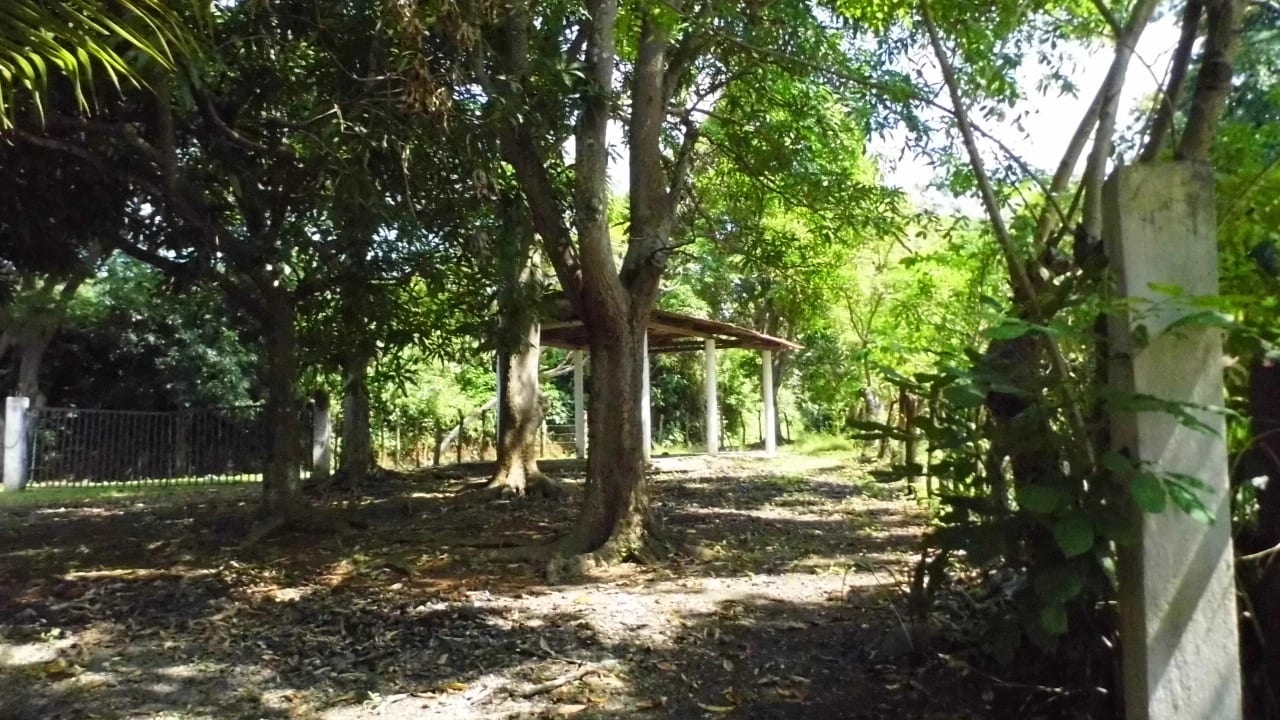 Terreno en Taxisco sobre Carretera — Terreno en Venta en Taxisco, Santa Rosa — foto 3 de 7