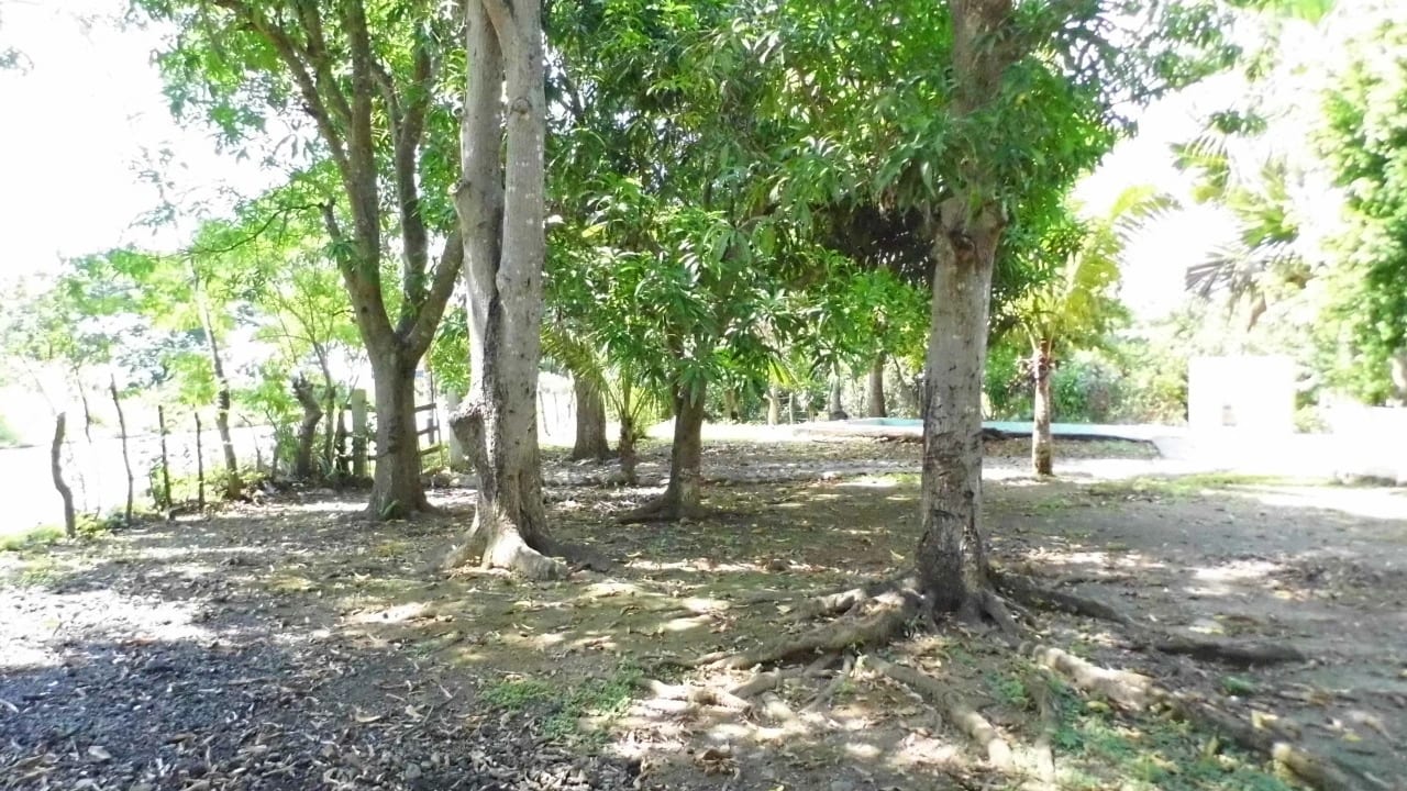Terreno en Taxisco sobre Carretera — Terreno en Venta en Taxisco, Santa Rosa — foto 4 de 7