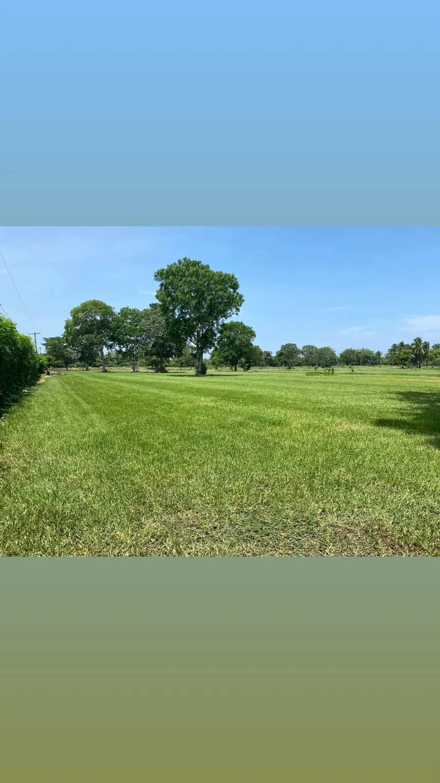 Para inversión terreno carretera vieja a Puerto de San José — Finca en Venta en Masagua, Escuintla — foto 6 de 17