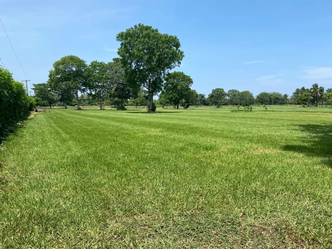Para inversión terreno carretera vieja a Puerto de San José — Finca en Venta en Masagua, Escuintla — foto 4 de 17