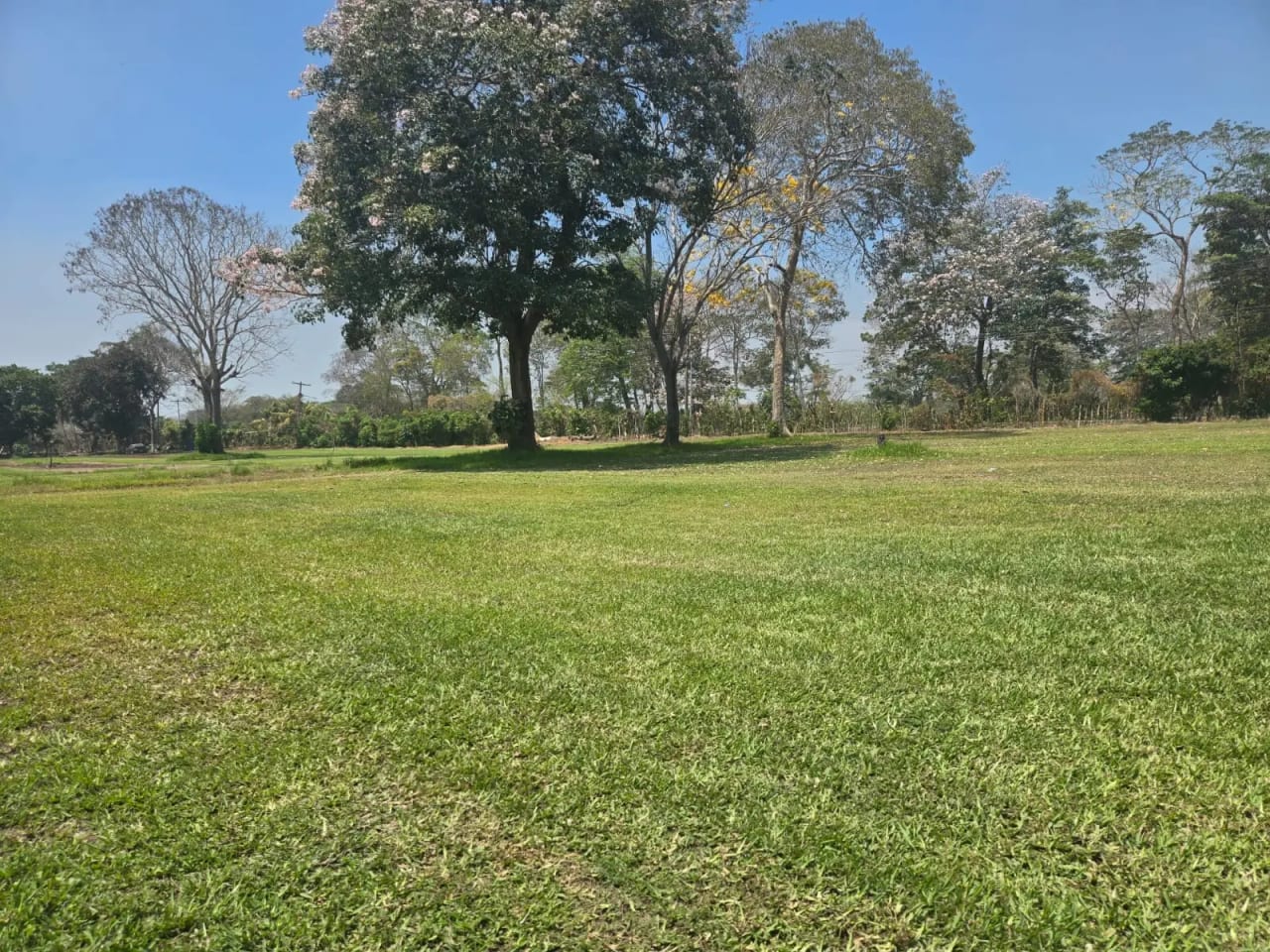 Para inversión terreno carretera vieja a Puerto de San José — Finca en Venta en Masagua, Escuintla — foto 10 de 17
