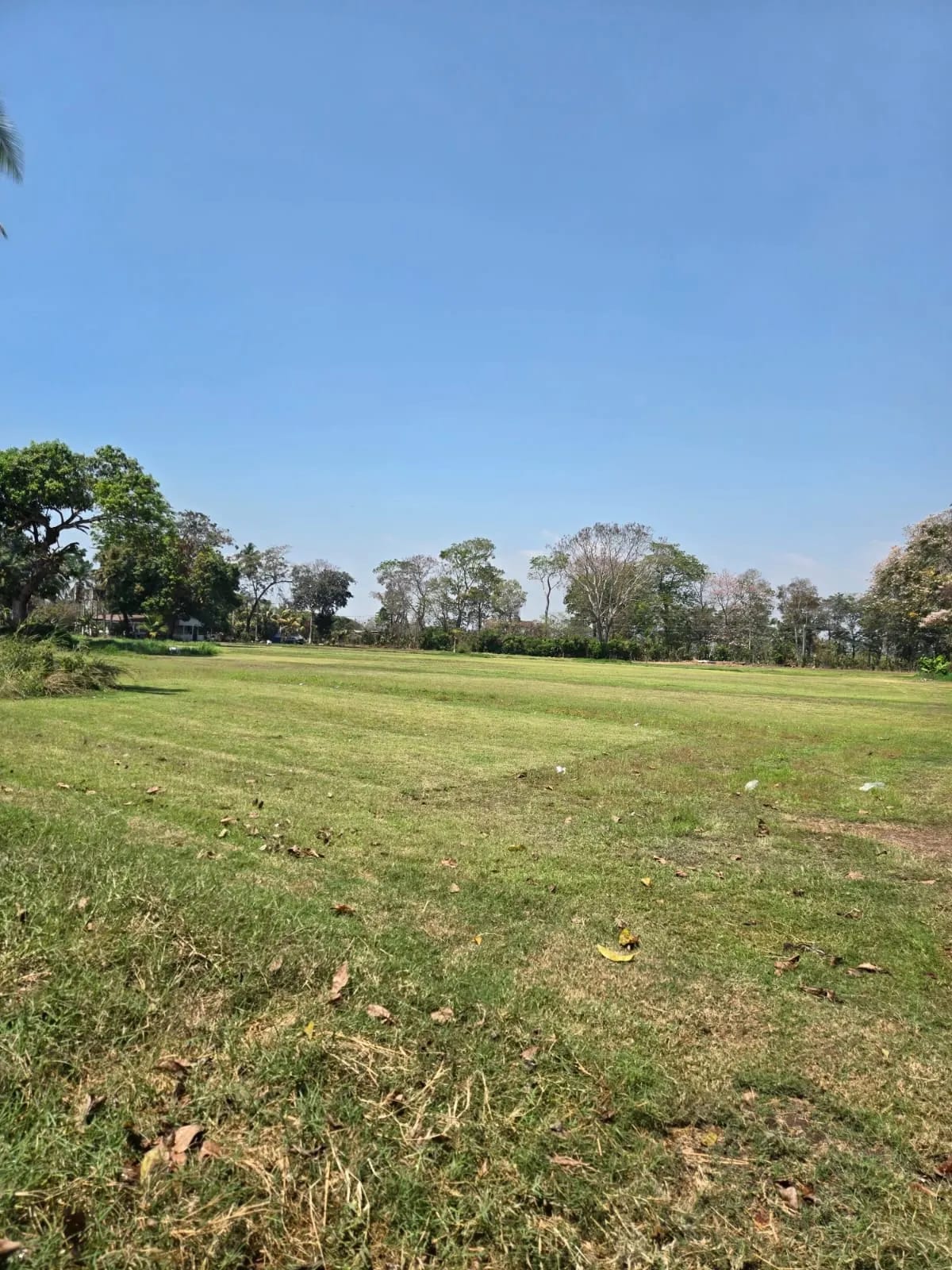 Para inversión terreno carretera vieja a Puerto de San José — Finca en Venta en Masagua, Escuintla — foto 13 de 17