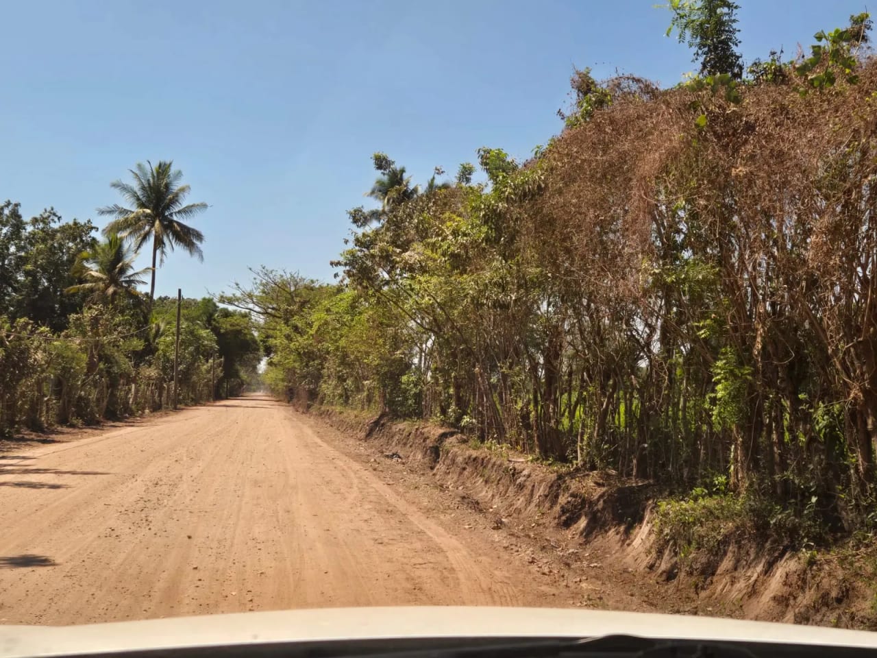 Para inversión terreno carretera vieja a Puerto de San José — Finca en Venta en Masagua, Escuintla — foto 17 de 17
