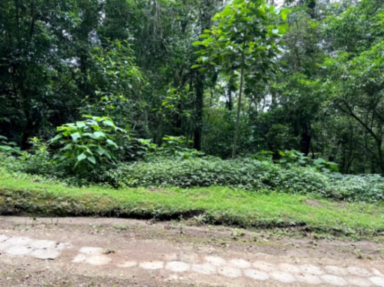Terreno en Venta Granjas Jardín El Alto Santiago Sacatepequez — Terreno en Venta en Santiago Sacatepéquez, Sacatepéquez — foto 2 de 13