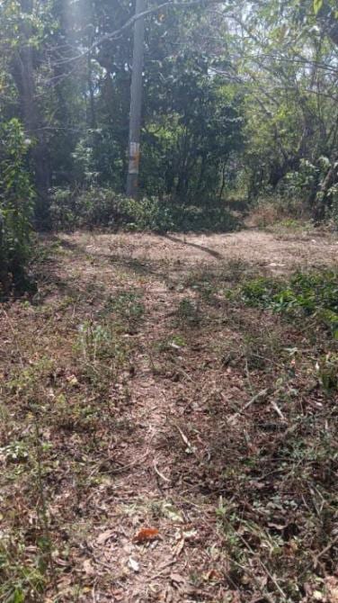 🔥 PRECIO DE REMATE 🔥 ¡Tu refugio natural listo para construir! Terreno en Bosque Nevado 🌲🏡 — Terreno en Venta en Villa Canales, Guatemala, Ciudad — foto 3 de 5