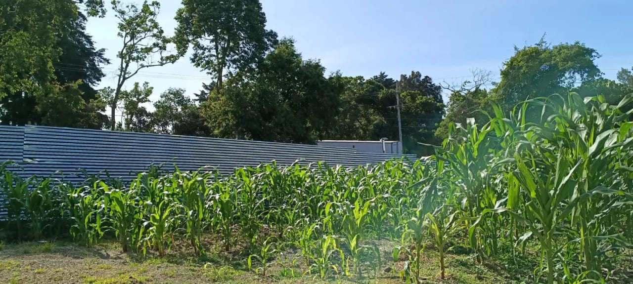 Terreno en Venta – Km. 28 Carretera a El Salvador, a orilla de carretera — Terreno en Venta en Carretera a El Salvador, Guatemala, Ciudad — foto 1 de 4