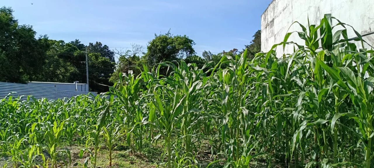Terreno en Venta – Km. 28 Carretera a El Salvador, a orilla de carretera — Terreno en Venta en Carretera a El Salvador, Guatemala, Ciudad — foto 2 de 4