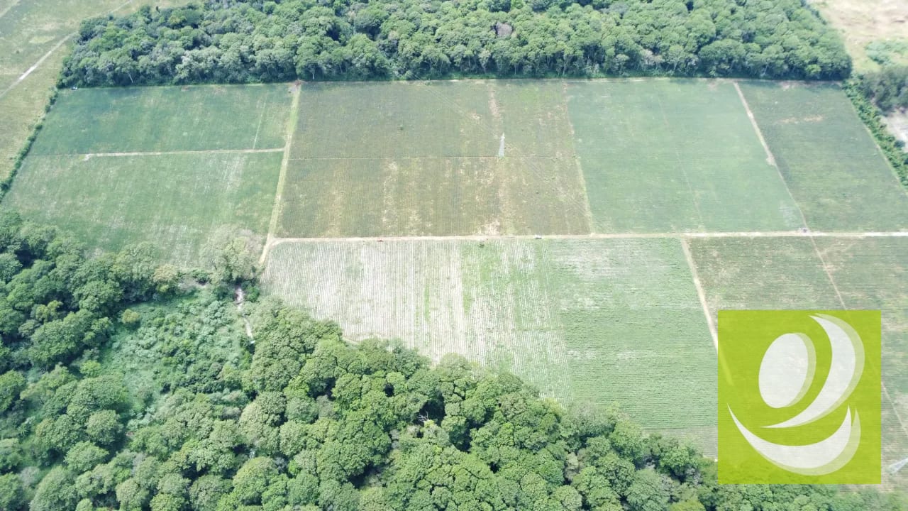 Vendo Terreno las Casuarinas - Villa Canales - Jocotillo US4,675,000 - PVF-016-10-24 — Terreno en Venta en Villa Canales, Guatemala, Ciudad — foto 4 de 6