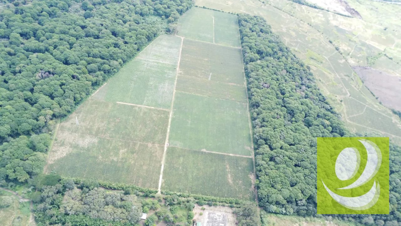 Vendo Terreno las Casuarinas - Villa Canales - Jocotillo US4,675,000 - PVF-016-10-24 — Terreno en Venta en Villa Canales, Guatemala, Ciudad — foto 6 de 6