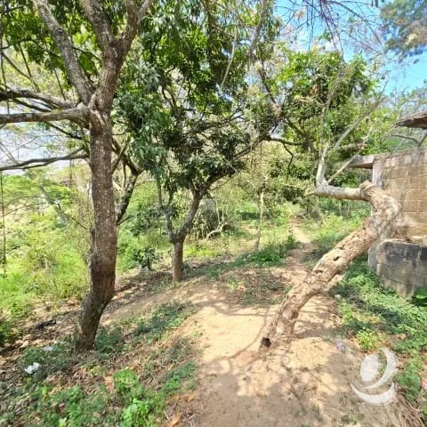 Terreno en Venta Aldea El Durazno, Chinautla — Terreno en Venta en Chinautla, Guatemala, Ciudad — foto 5 de 12