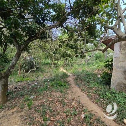 Terreno en Venta Aldea El Durazno, Chinautla — Terreno en Venta en Chinautla, Guatemala, Ciudad — foto 6 de 12