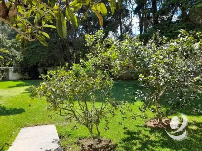 Casa en Venta y renta Arrazola Panorama, sin muebles — Casa en Venta en Carretera a El Salvador, Guatemala, Ciudad — foto 13 de 17