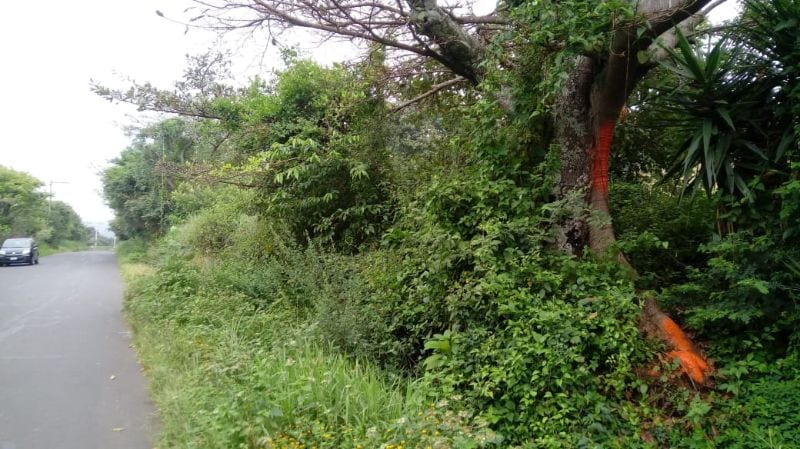 Venta terreno Km. 46.5 Villa Canales — Terreno en Venta en Villa Canales, Guatemala, Ciudad — foto 1 de 4