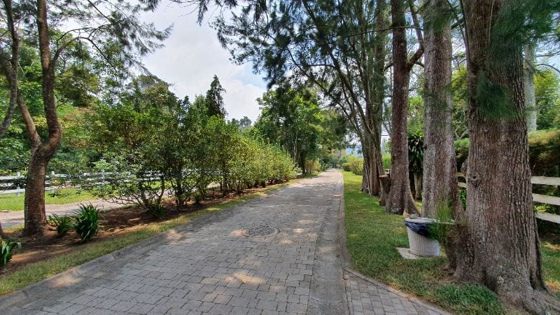 Venta Terreno en Sta Elena del Lago — Terreno en Venta en Carretera a El Salvador, Guatemala, Ciudad — foto 11 de 13