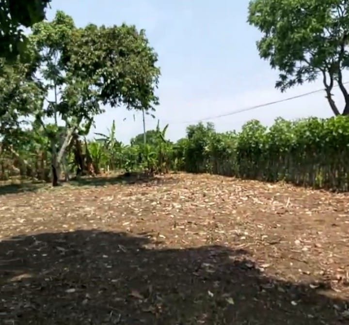 VENDO Terreno en Santo Domingo Suchitepéquez Q180,000 + Impuestos — Terreno en Venta en Mazatenango, Suchitepéquez — foto 1 de 4