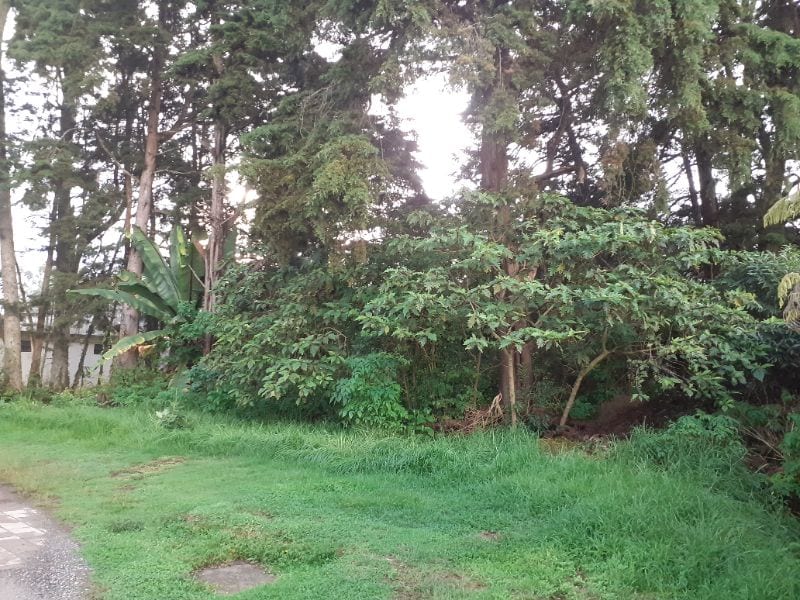 Lindo Terreno KM 16 Carretera Salvador en Venta — Terreno en Venta en km 11-15, Carretera a El Salvador, Guatemala, Ciudad — foto 1 de 2