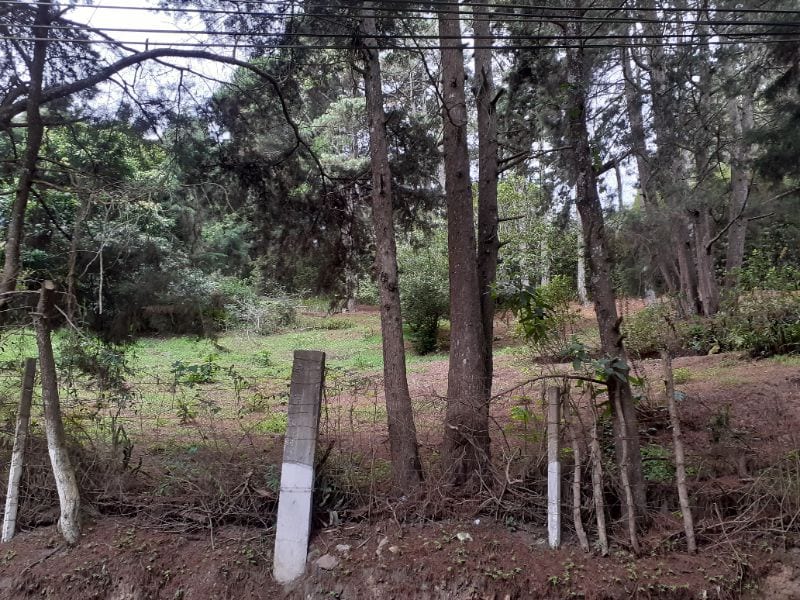 Terreno Ideal para Desarrollo KM 16 Carretera Salvador en Venta — Terreno en Venta en Carretera a El Salvador, Guatemala, Ciudad — foto 3 de 4