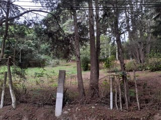Terreno Ideal para Desarrollo KM 16 Carretera Salvador en Venta — Terreno en Venta en Carretera a El Salvador, Guatemala, Ciudad — miniatura 3 de 4