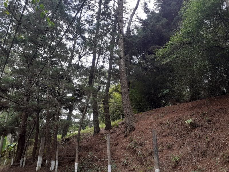 Terreno Ideal para Desarrollo KM 16 Carretera Salvador en Venta — Terreno en Venta en Carretera a El Salvador, Guatemala, Ciudad — foto 4 de 4