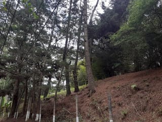 Terreno Ideal para Desarrollo KM 16 Carretera Salvador en Venta — Terreno en Venta en Carretera a El Salvador, Guatemala, Ciudad — miniatura 4 de 4