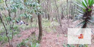 Venta Terreno El Encinal Mixco - Tronco 7 — Terreno en Venta en El Encinal, Zona 7 Mixco, Guatemala, Ciudad — miniatura 8 de 11