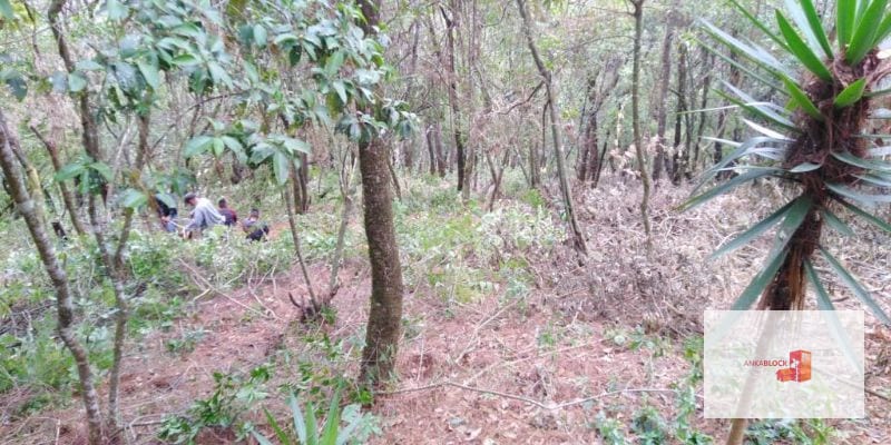 Venta Terreno El Encinal Mixco - Tronco 7 — Terreno en Venta en El Encinal, Zona 7 Mixco, Guatemala, Ciudad — foto 8 de 11