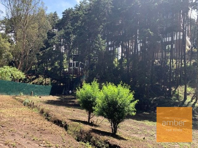 Terreno para desarrollo, Jacarandas de Muxbal — Terreno en Venta en Muxbal, Guatemala, Ciudad — foto 4 de 4