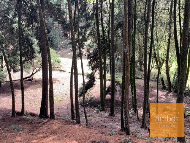 Terreno para desarrollo, Jacarandas de Muxbal — Terreno en Venta en Muxbal, Guatemala, Ciudad — foto 2 de 4