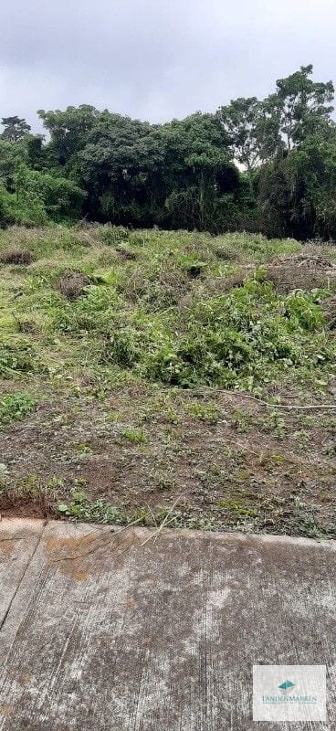 Venta Terreno Plano en Altavista Golf y Tenis Club , San Jose Pinula CAES — Terreno en Venta en San José Pinula, Guatemala, Ciudad — foto 3 de 4